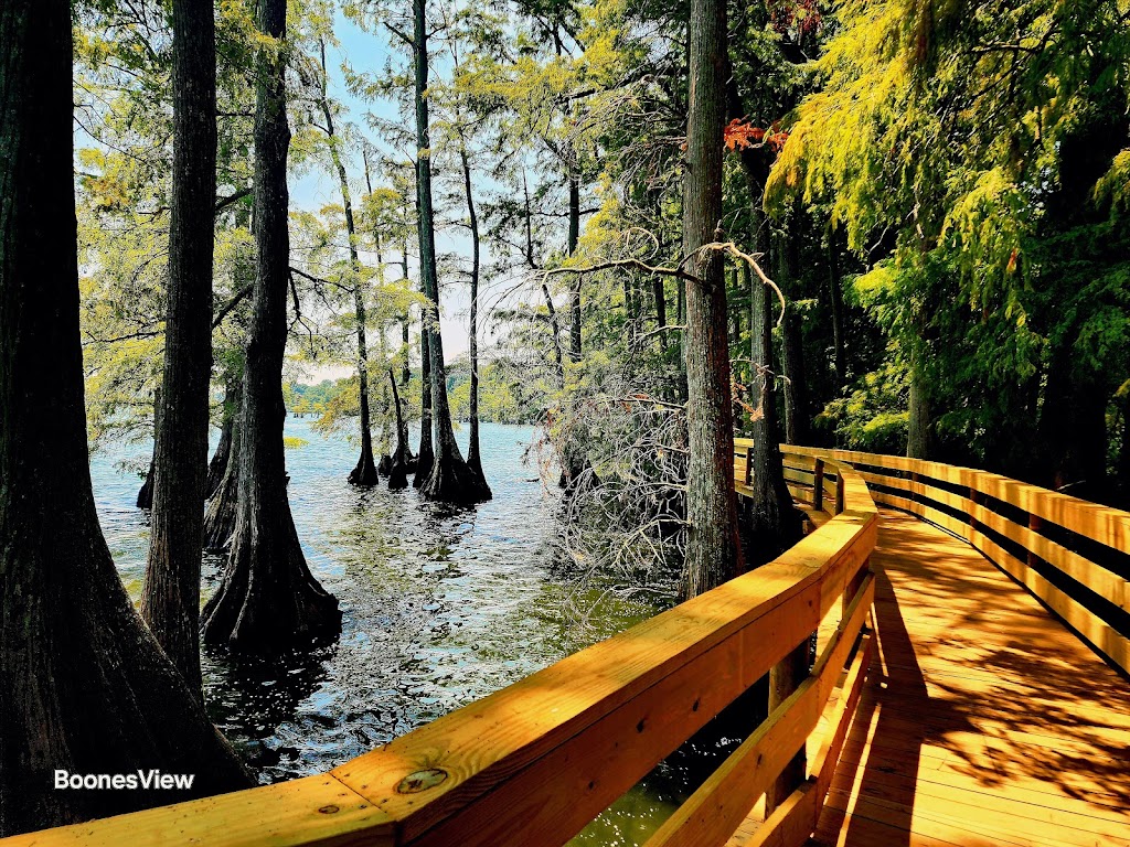 Reelfoot Lake State Park