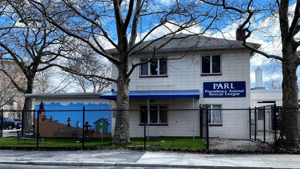 Providence Animal Rescue League