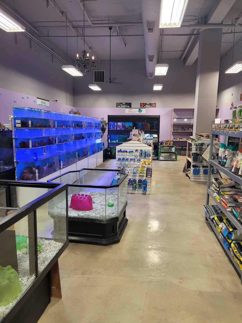 The Pet Resort Huntington