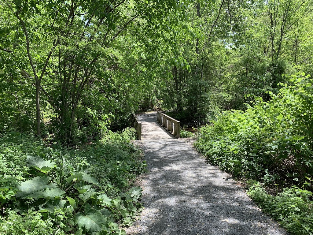 Cold Spring Park (Off-Leash Hours)