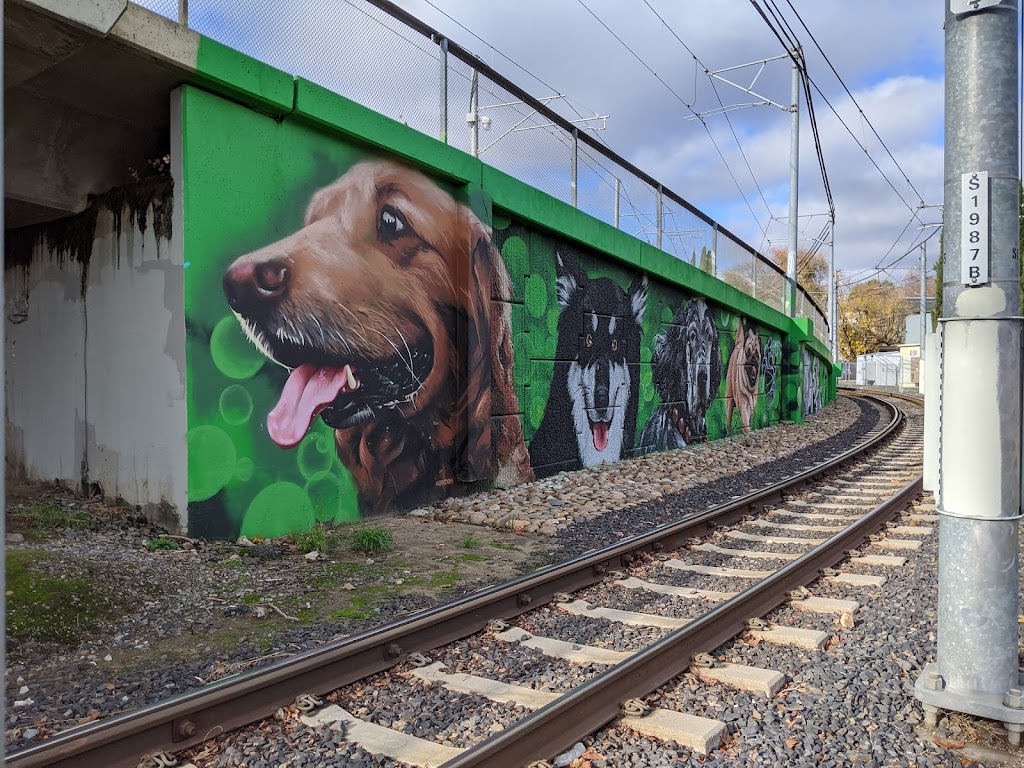 Truitt Bark Park