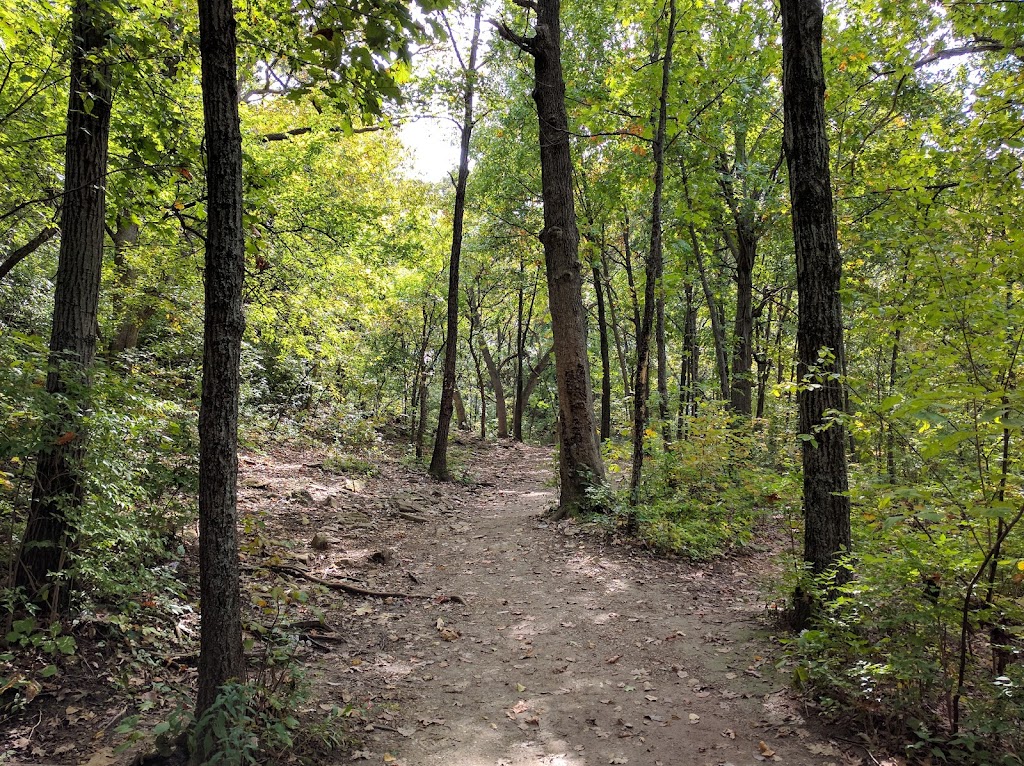Rosedale Park