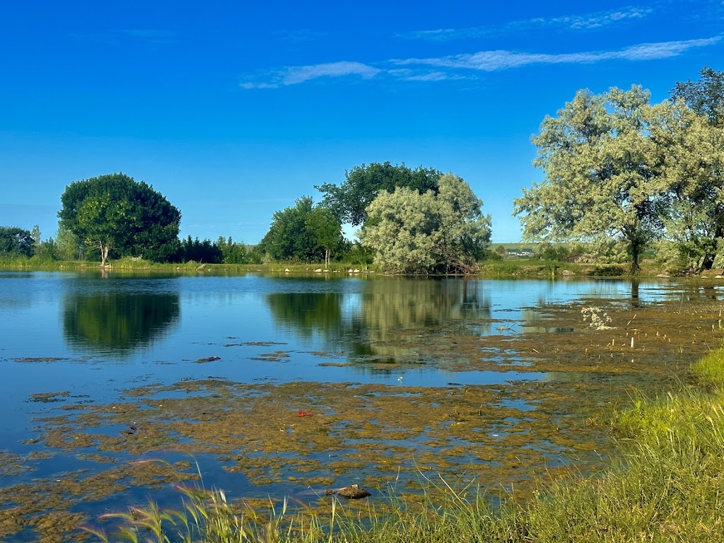 Spring Lake Park (Williston)