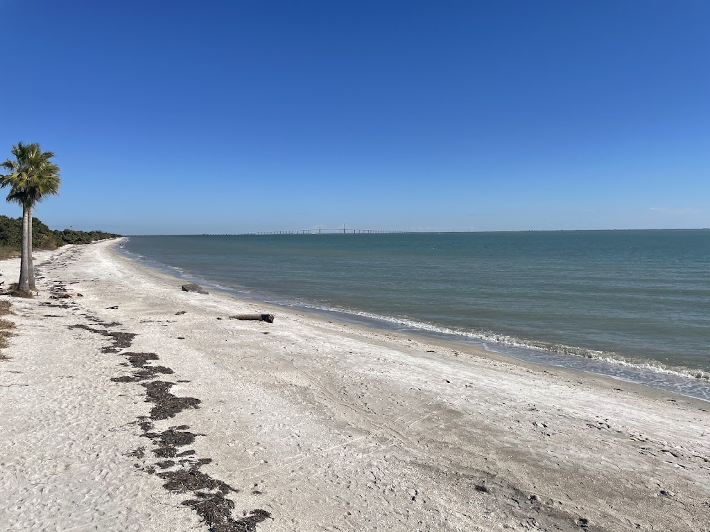 Fort De Soto Dog Beach
