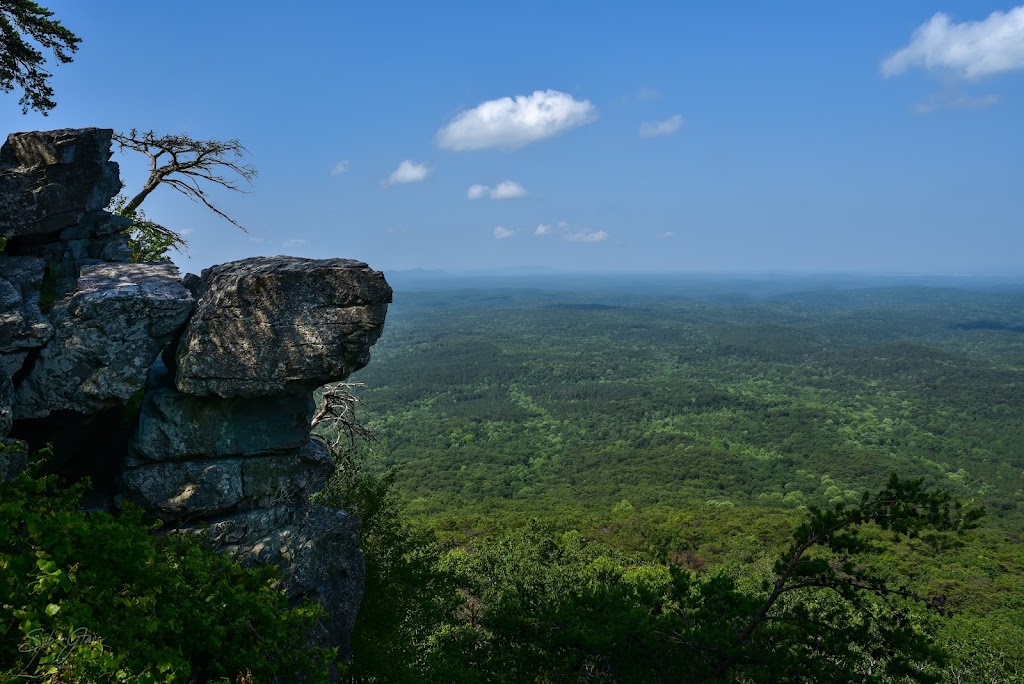 Talladega National Forest