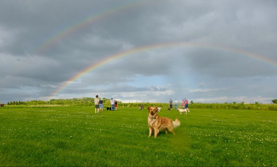 Capital Springs Off-Leash Dog Park