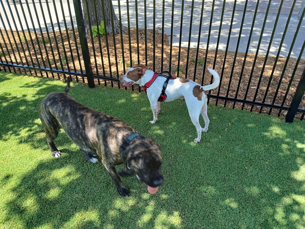 Kirby Dog Park