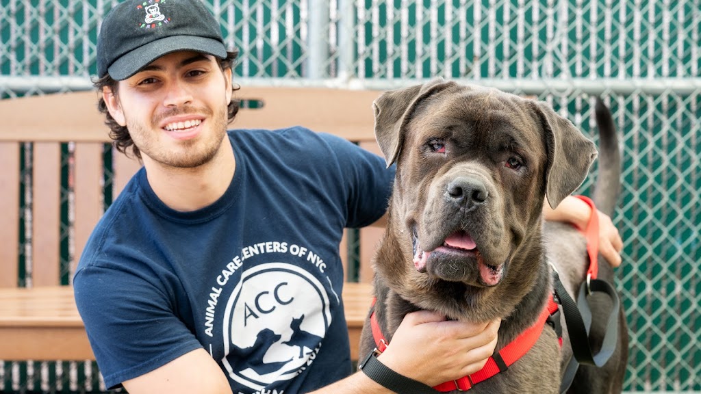 Animal Care Centers of NYC