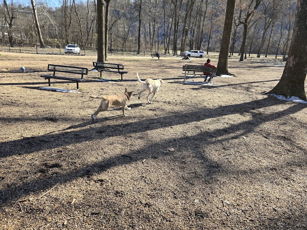 Murray Dog Park (Paws Park)