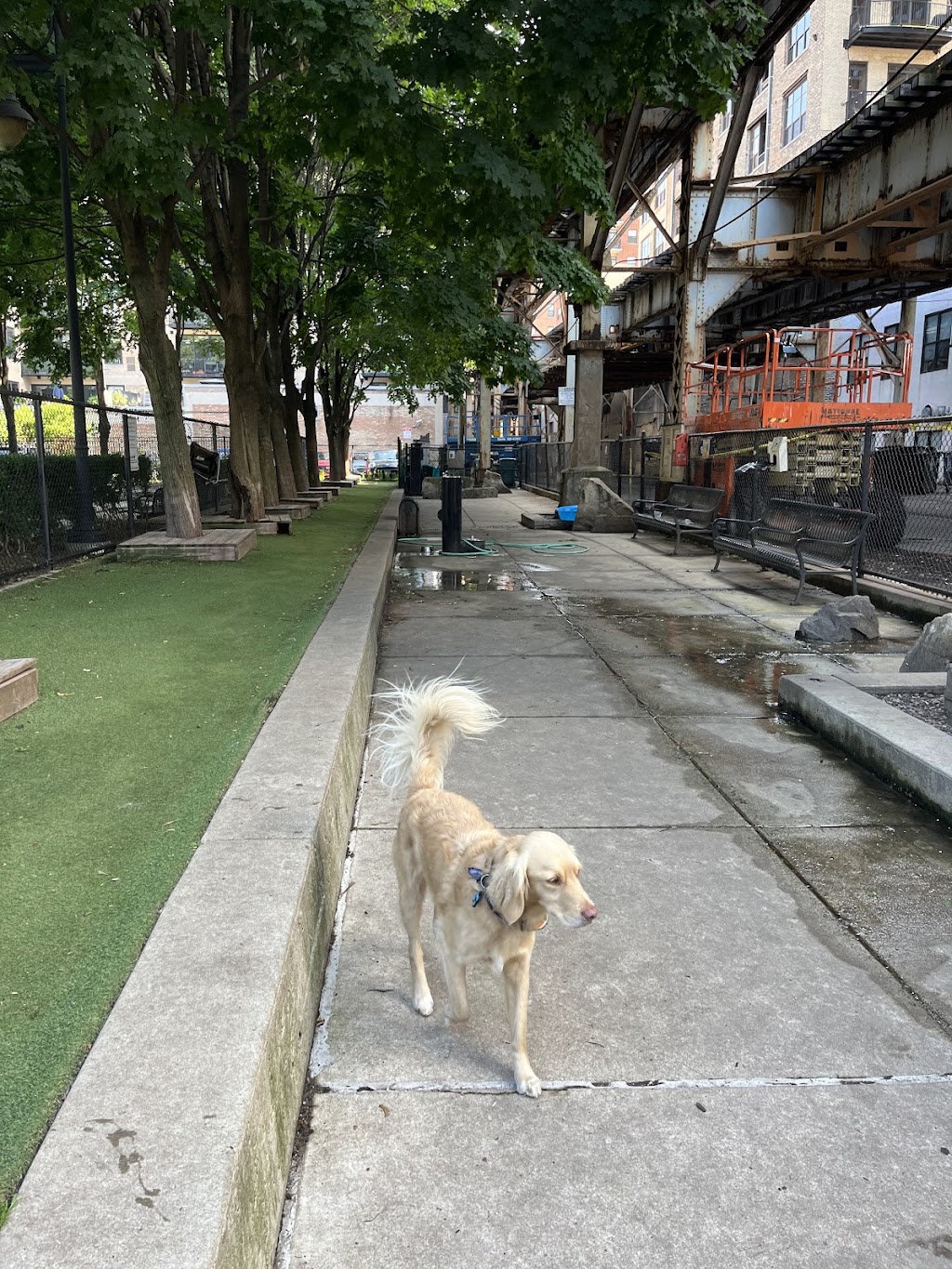 Coliseum Park Dog Park