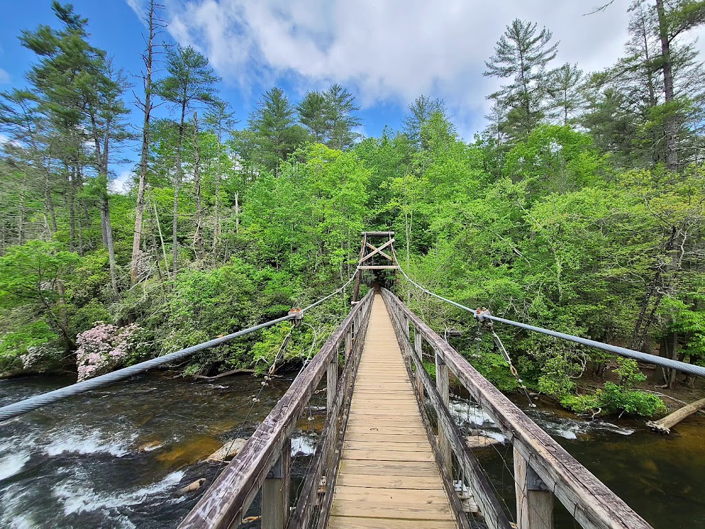 Toccoa River Swinging Bridge Trail
