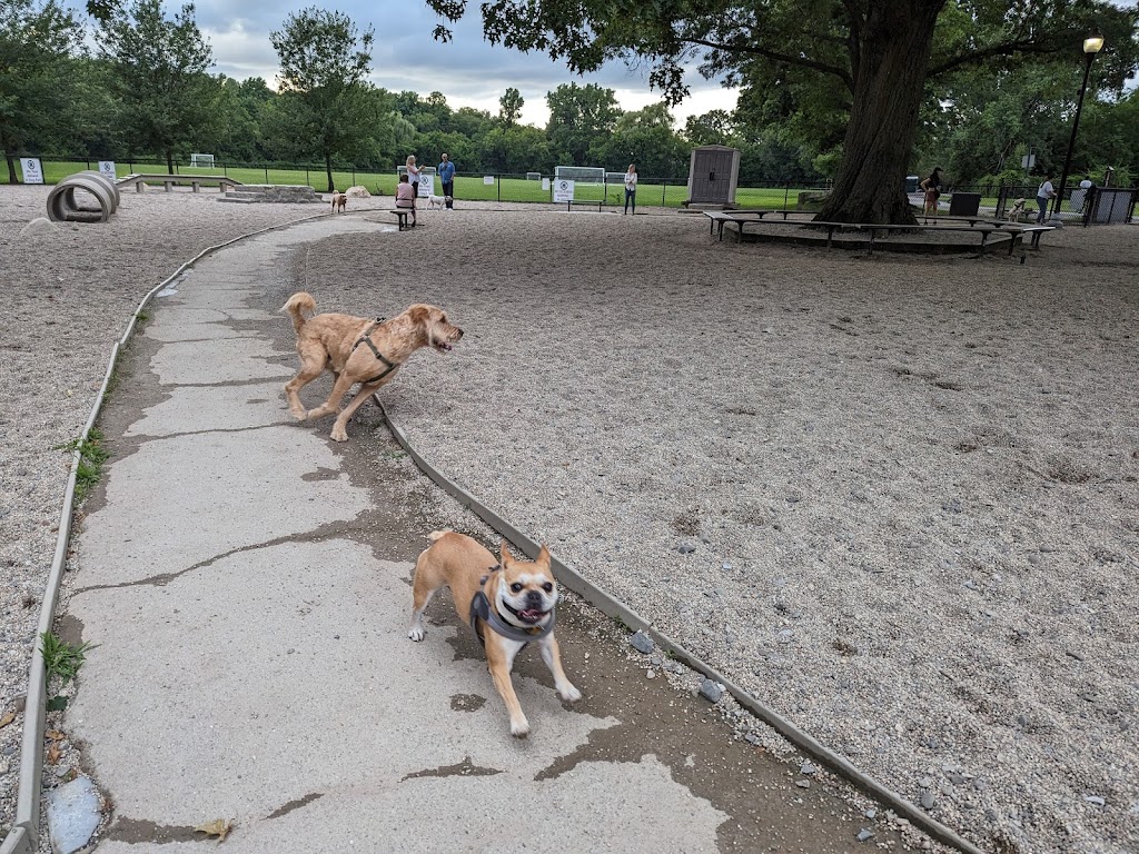 Thorndike Field Dog Park