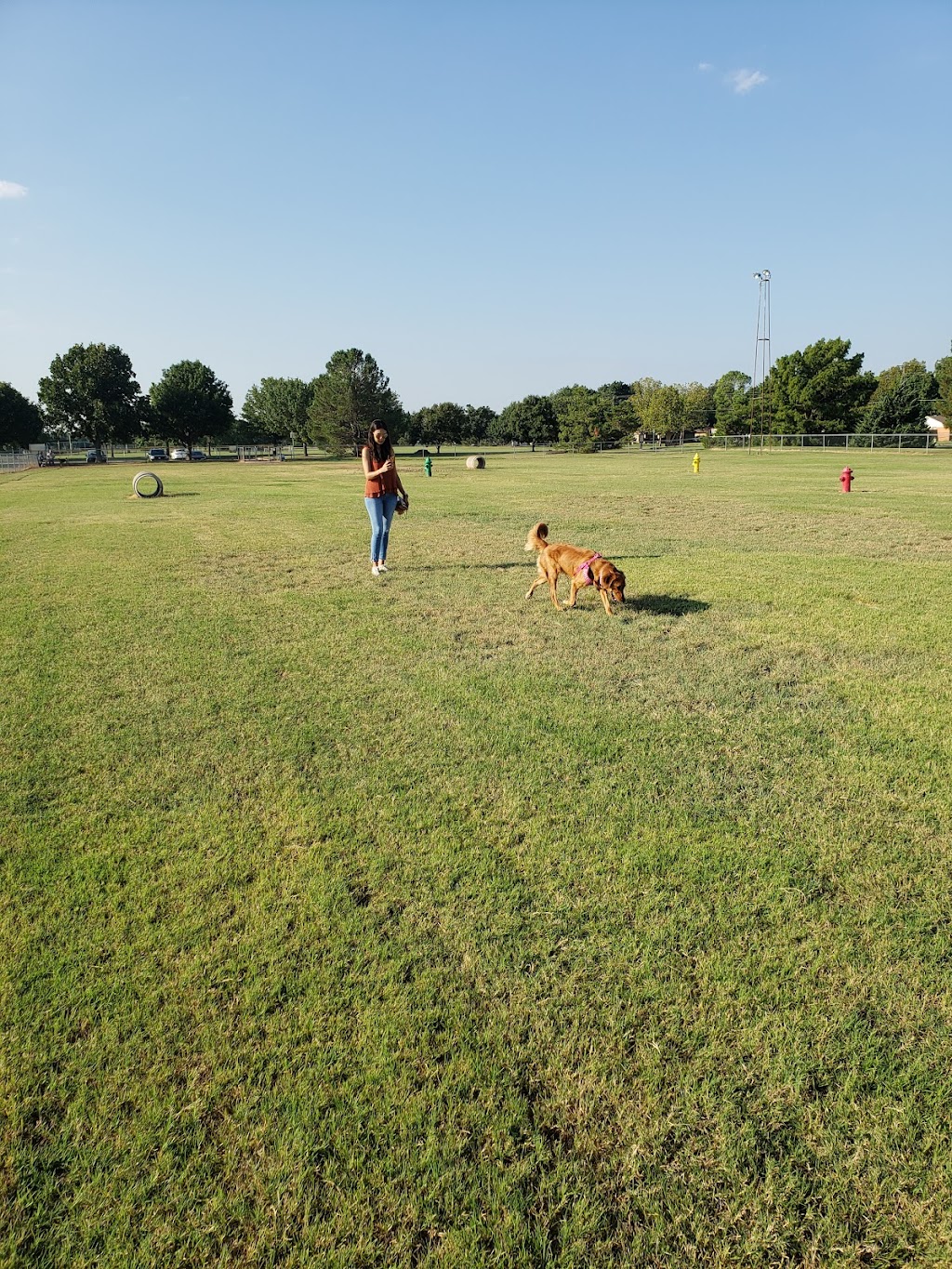 Dog Park of Wichita Falls
