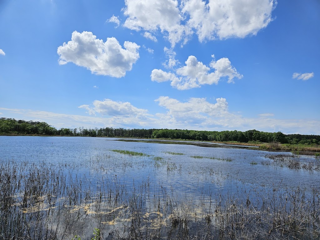 Blackwater National Wildlife Refuge