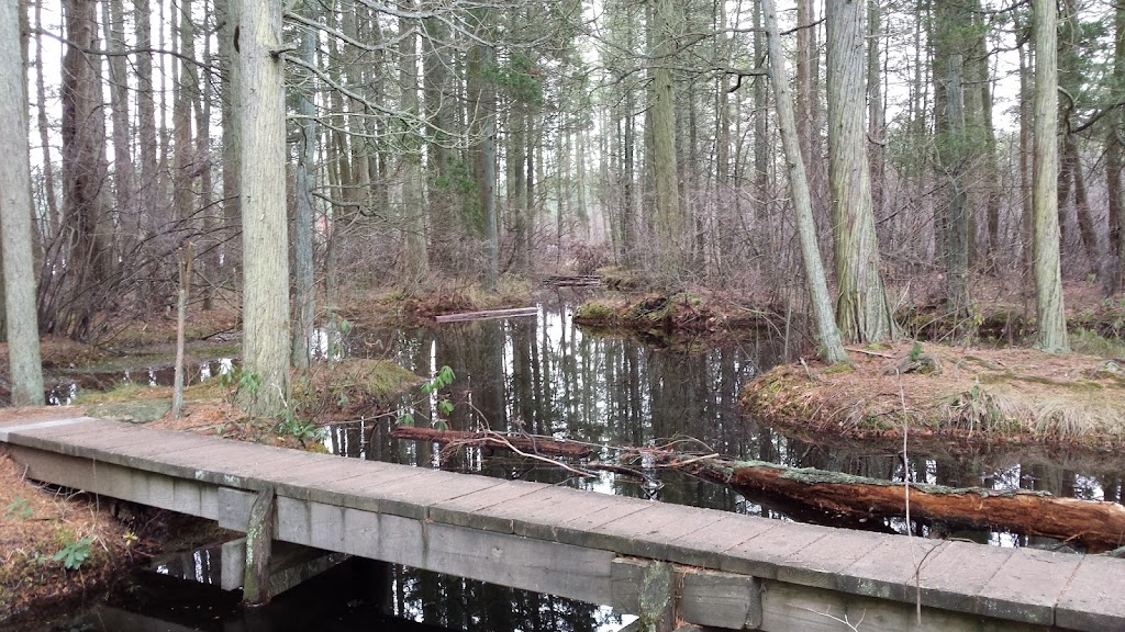 Wells Mills County Park