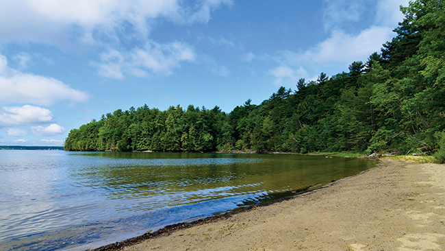 Donohue Sea Caves Trail (Niquette Bay SP)