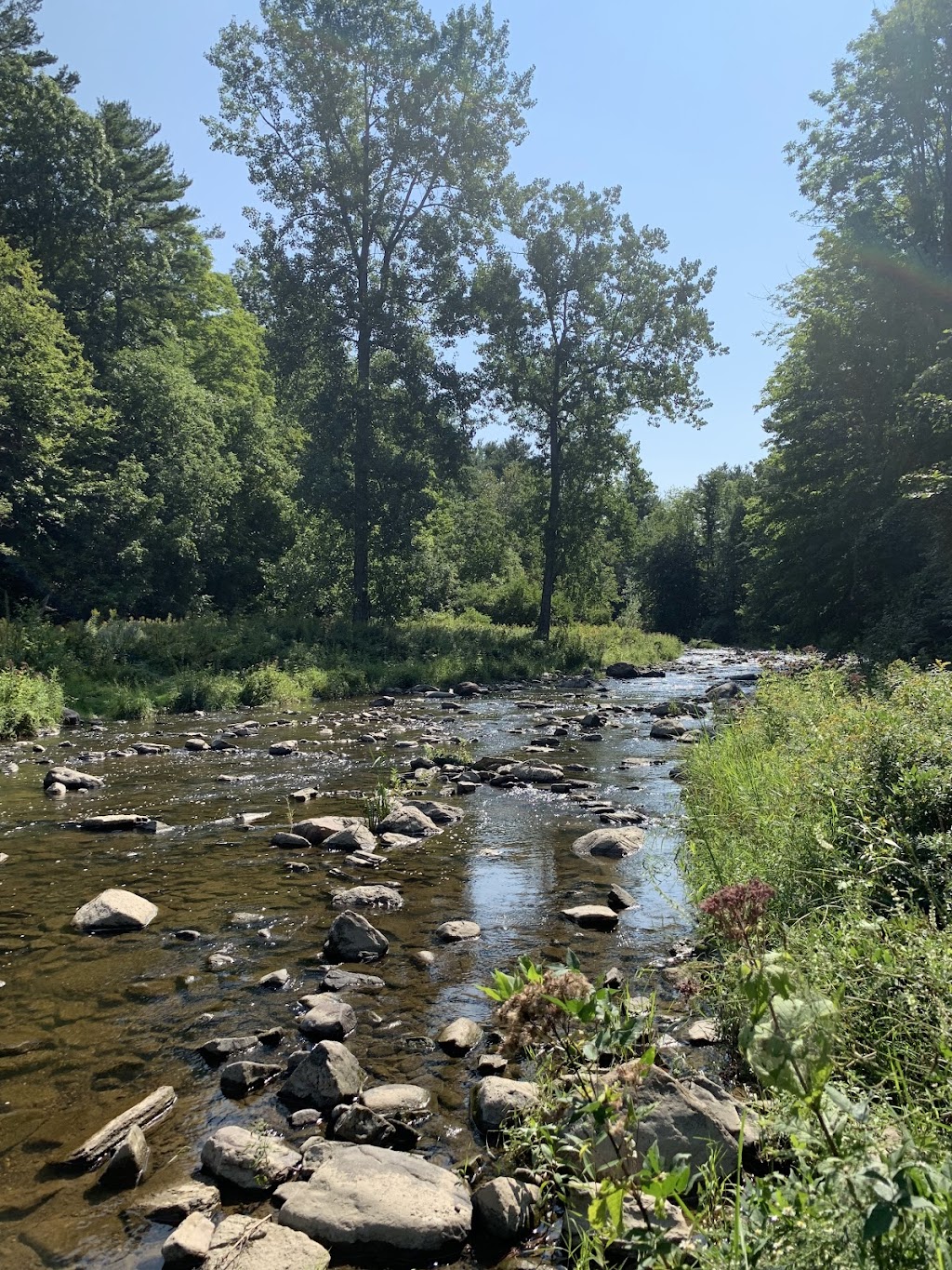 LaPlatte River Natural Area