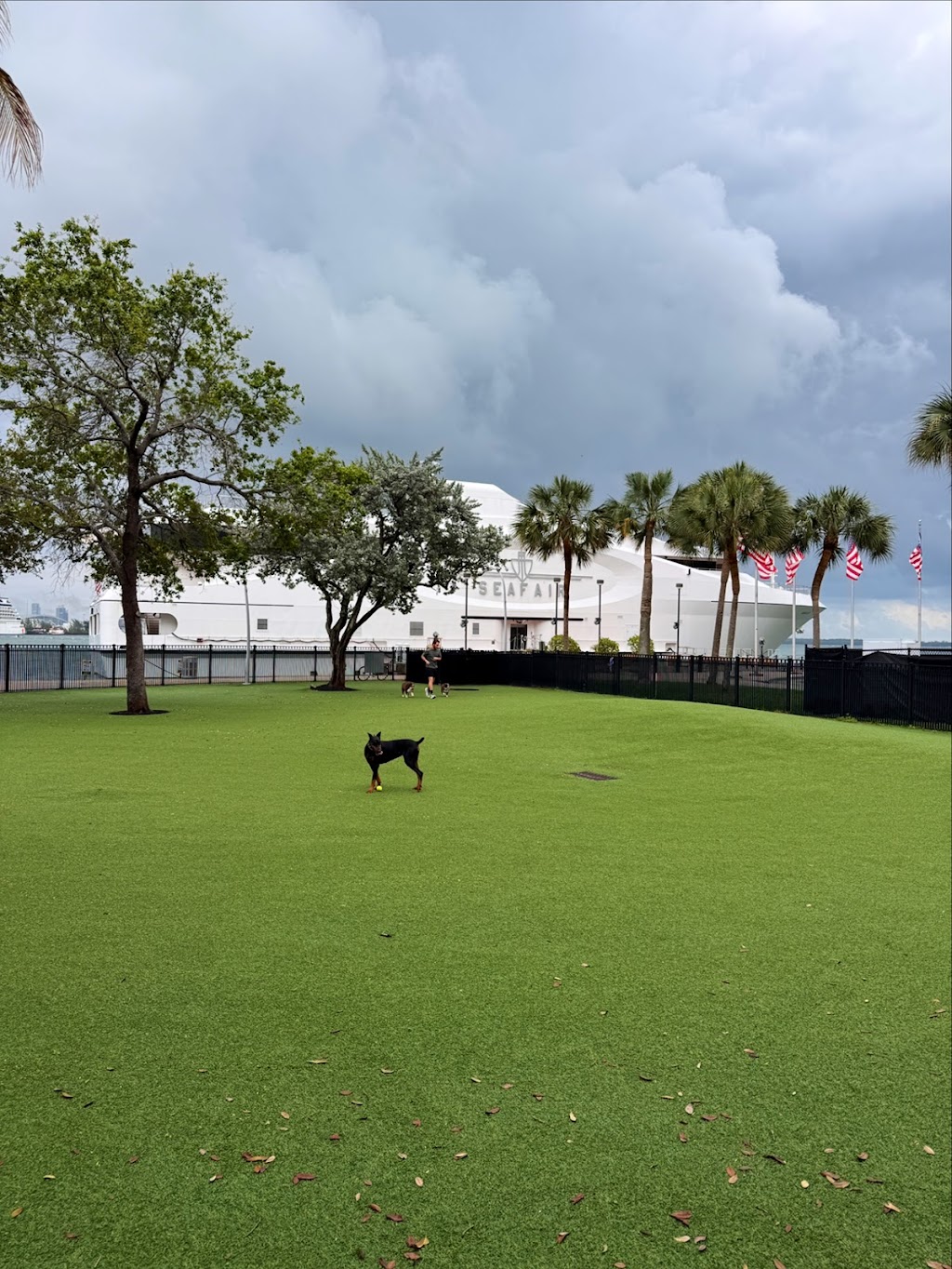 Bayfront Bark Dog Park