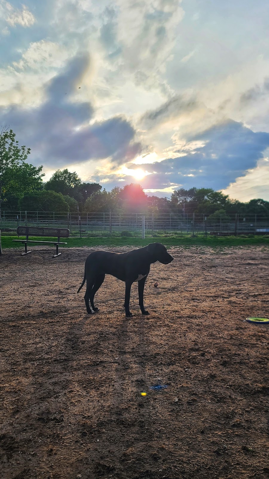 CiCo Dog Park