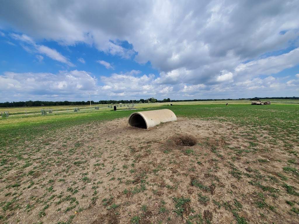 Empire Off-Leash Dog Park