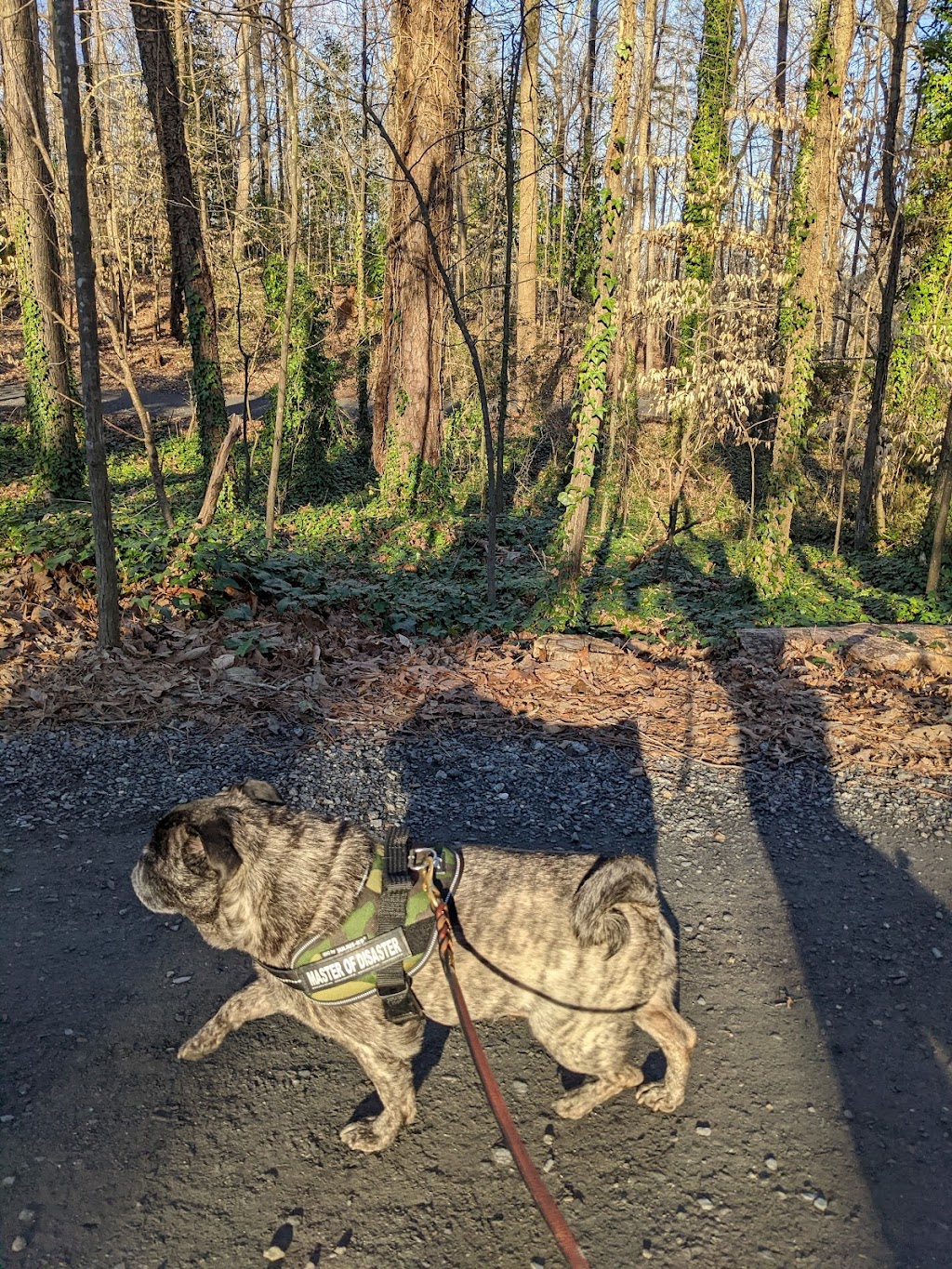 Leita Thompson Memorial Park Dog Park