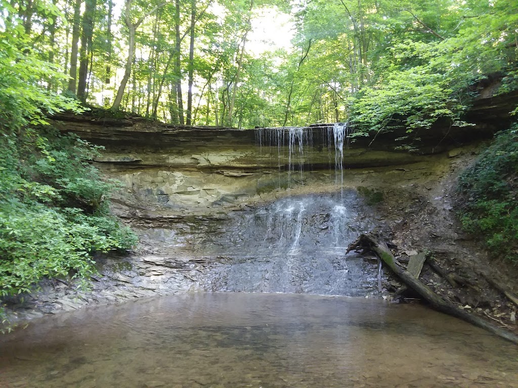 Salamonie River State Forest