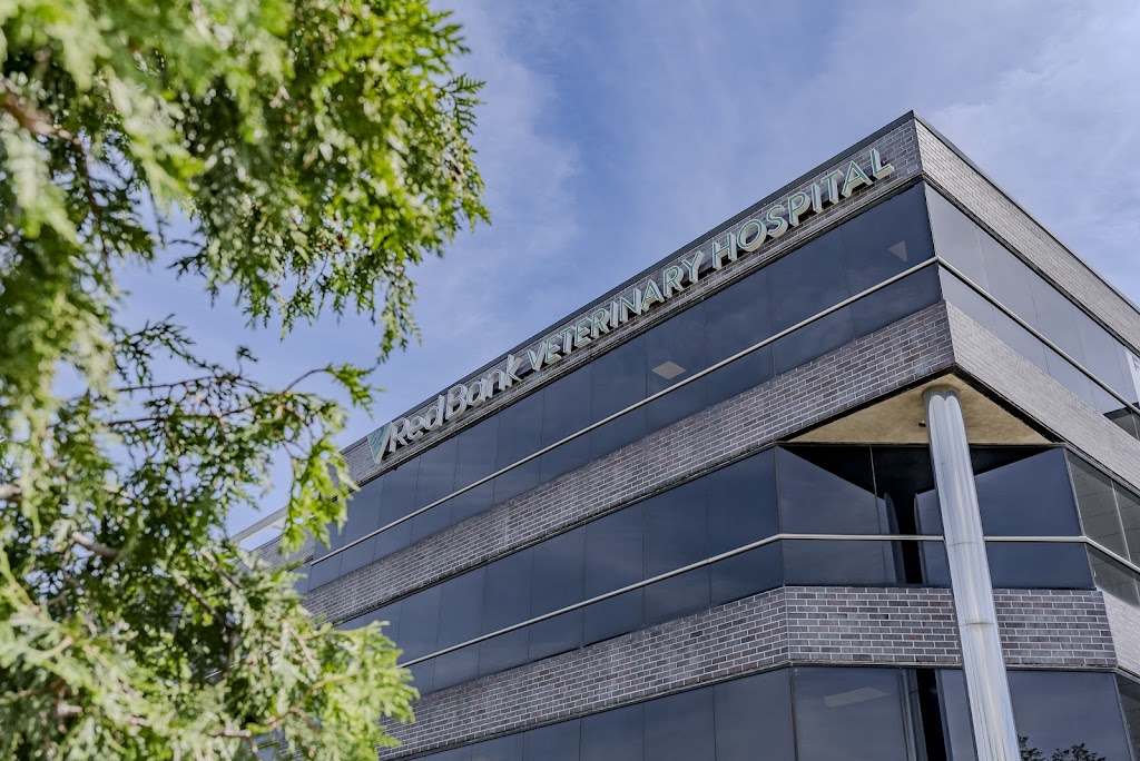 Red Bank Veterinary Hospital Tinton Falls