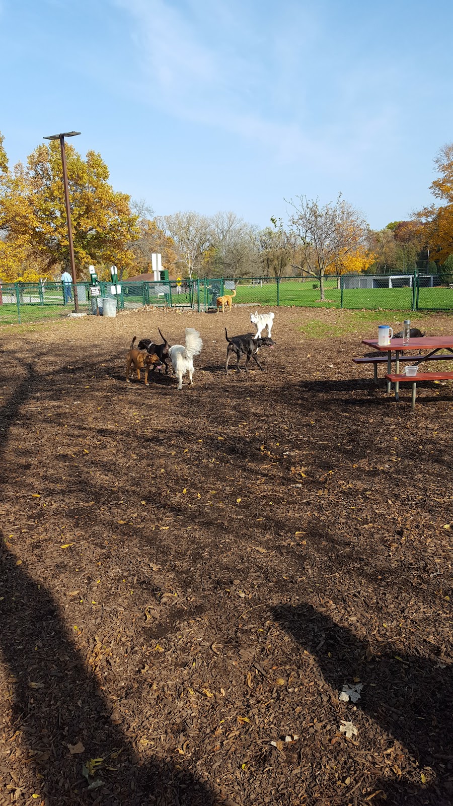 Petzke Park Dog Exercise Area