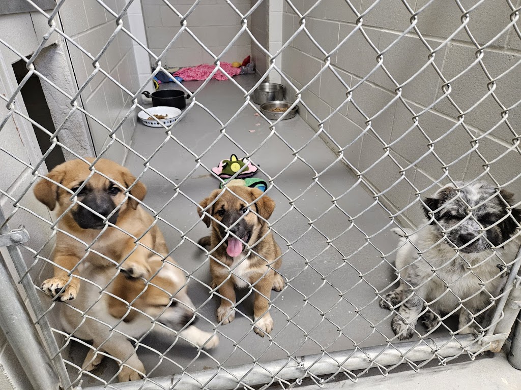 Central Dakota Humane Society