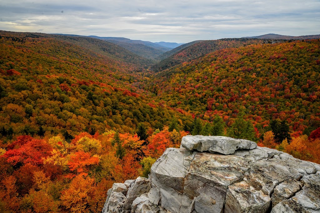 Dolly Sods Wilderness