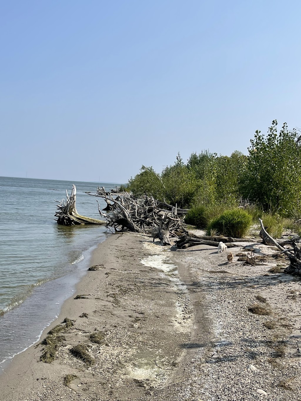 Grahams Island State Park