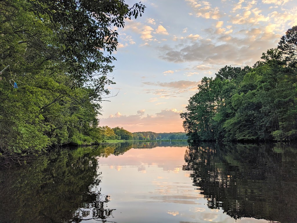 Pocomoke River State Park
