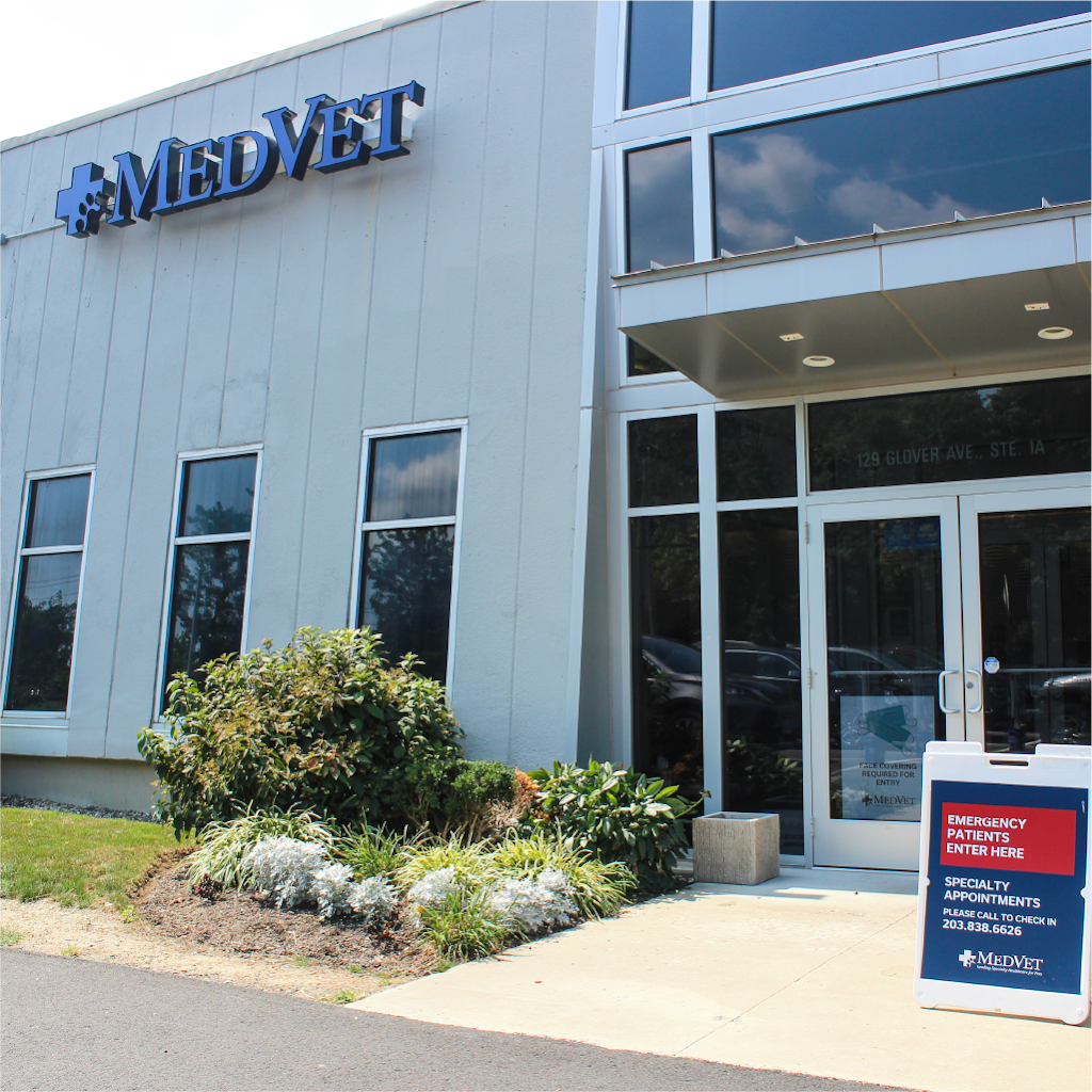 MedVet Norwalk