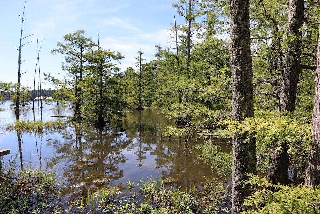 Sam D. Hamilton Noxubee National Wildlife Refuge