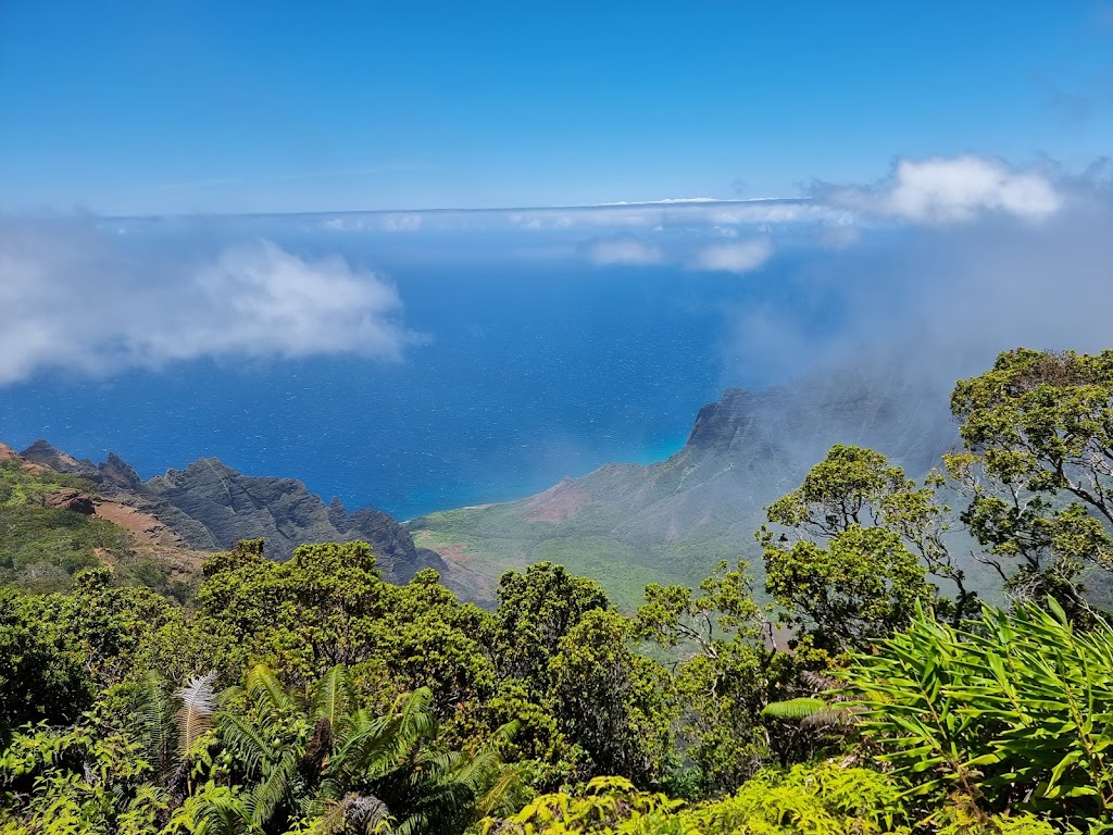Kokee State Park