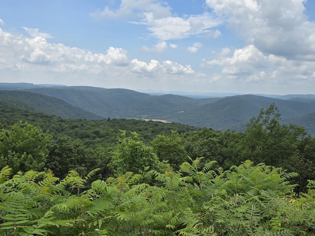 Loyalsock State Forest