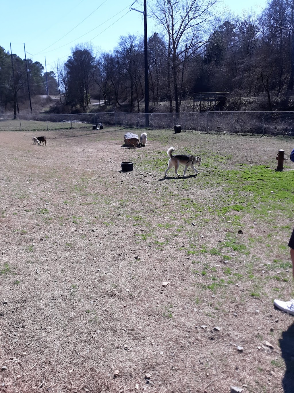 Hot Springs Bark Park
