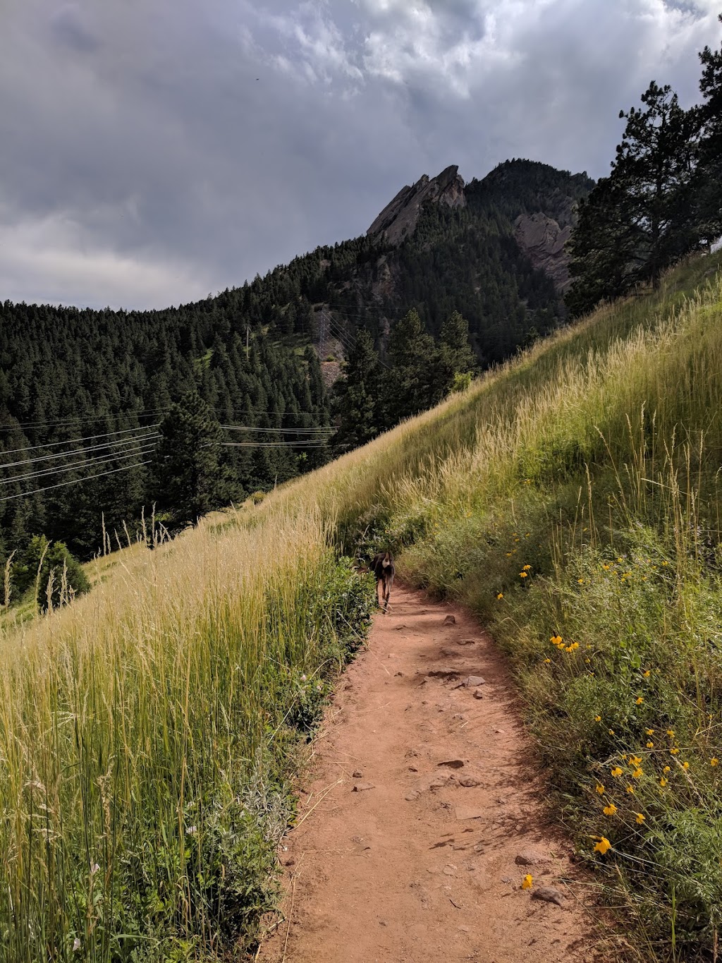 Mesa Trail
