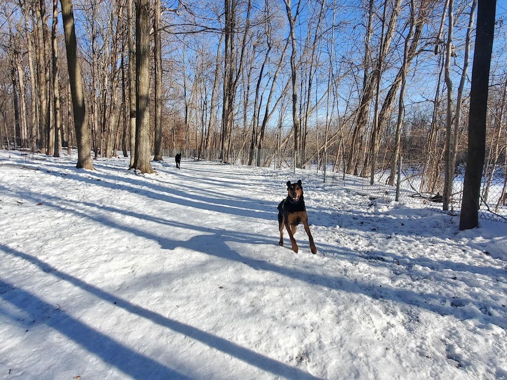 Soldan Dog Park