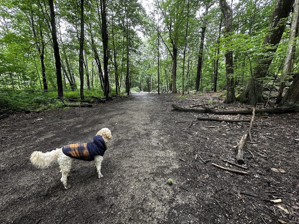 Quarry Run Dog Park