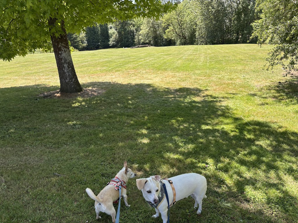 Gabriel Park (Off-Leash)