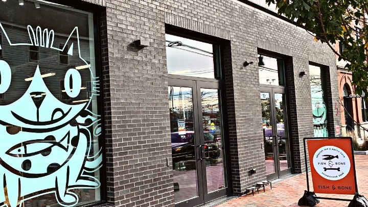 Planet Dog Company Store
