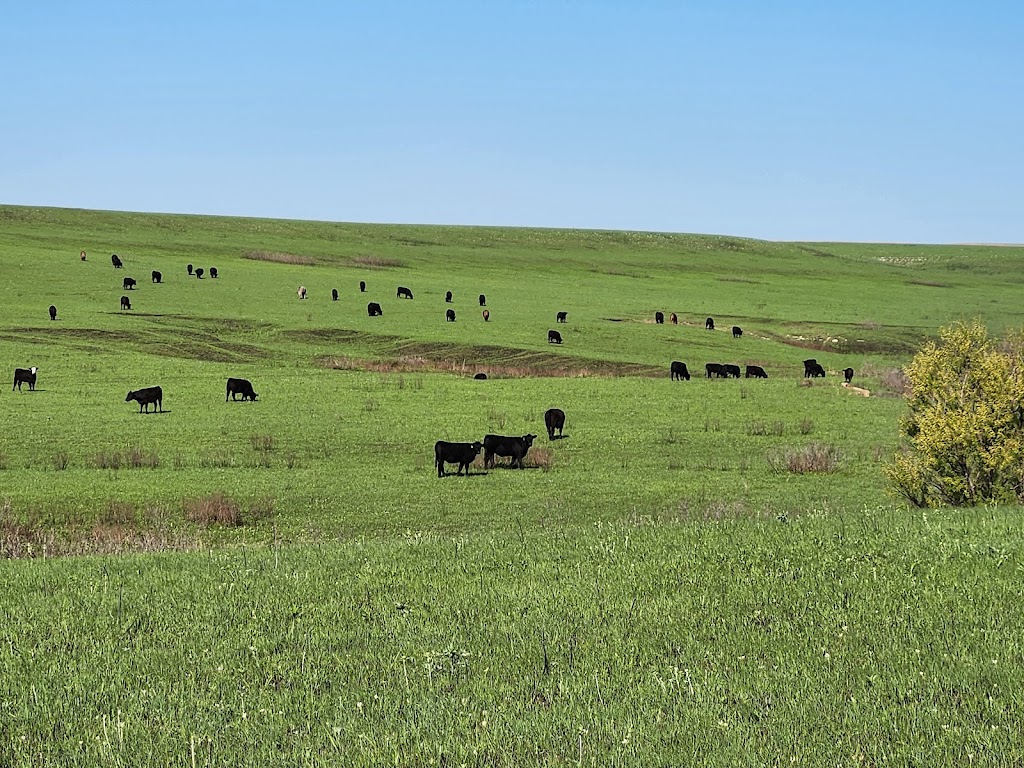 Tallgrass Prairie National Preserve, Strong City