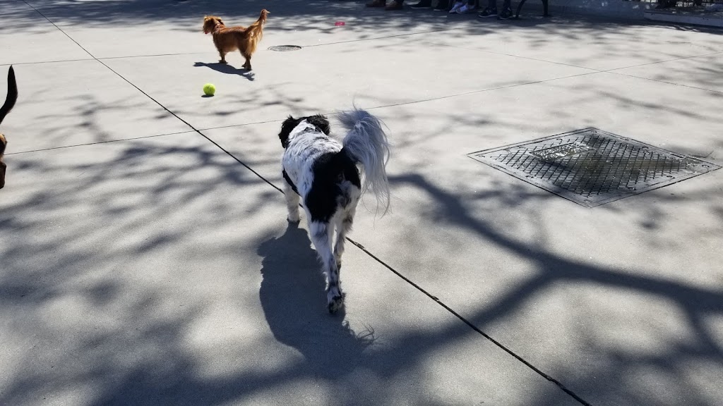 Carl Schurz Park Dog Run