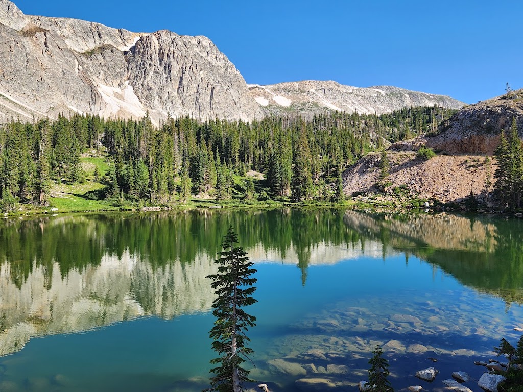 Medicine Bow-Routt National Forest