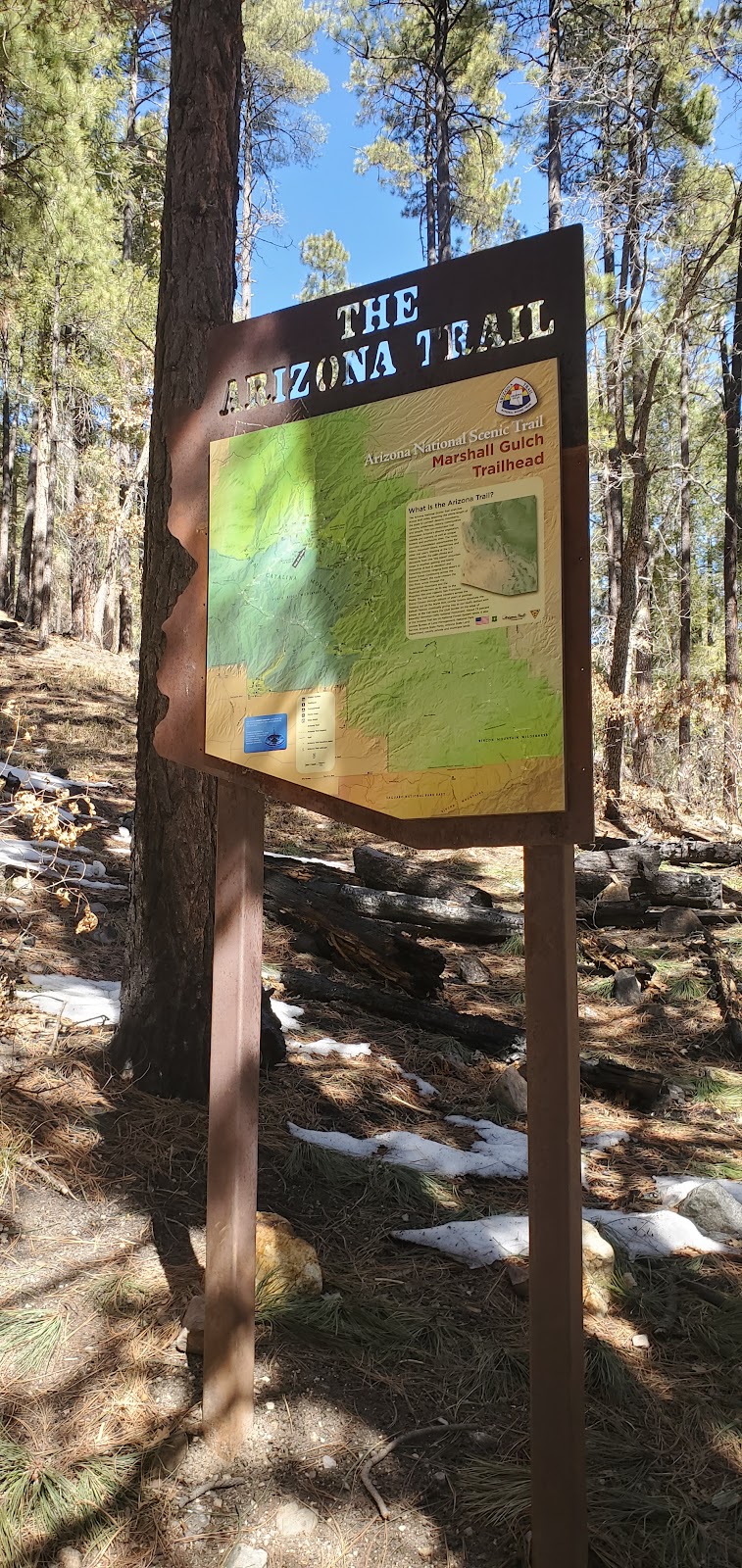 Marshall Gulch Trail (Mt Lemmon)