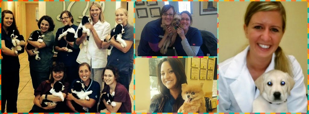 West Suburban Animal Hospital