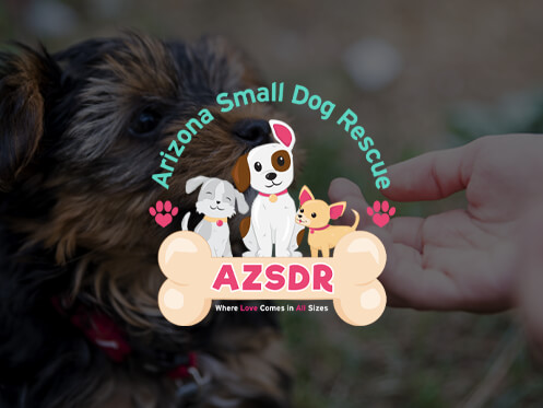 Arizona Small Dog Rescue