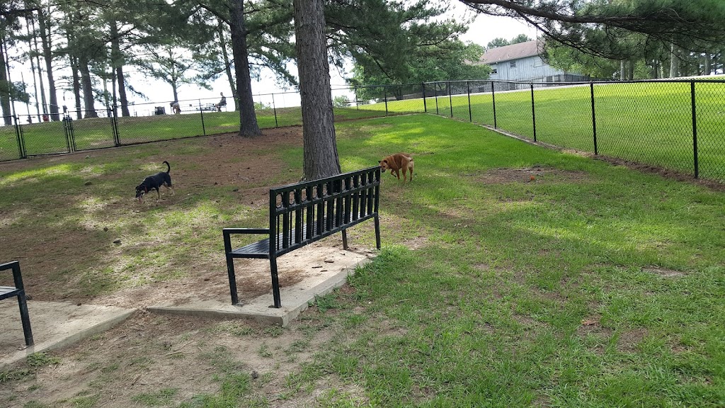 Reservoir Dog Park