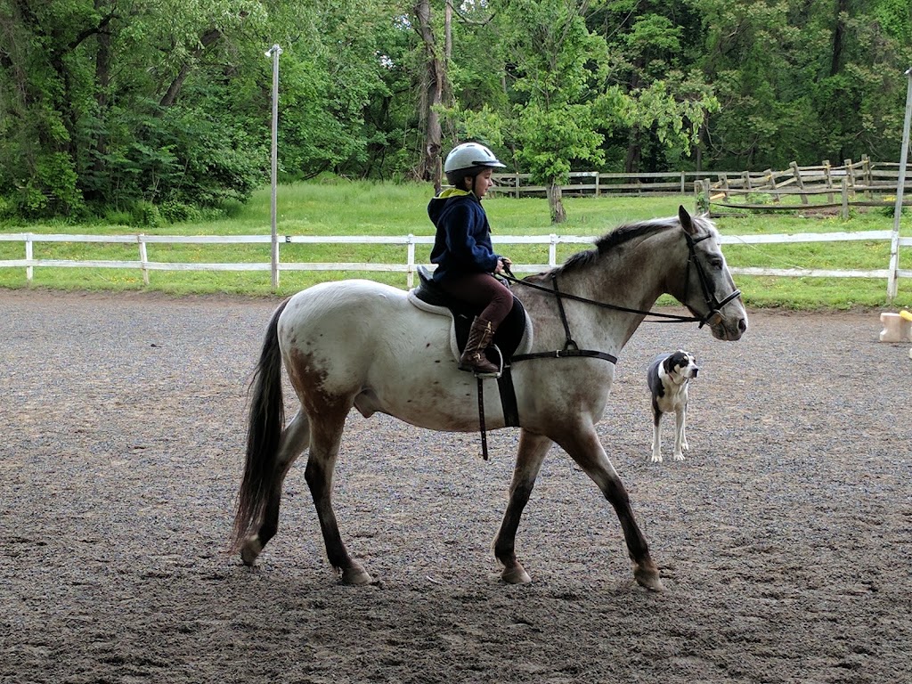 Chamounix Equestrian Center Dog Park
